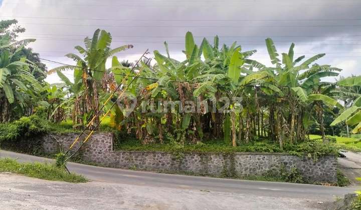 Lahan View Sawah Di Singapadu, Gianyar- Bali 1