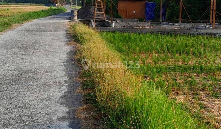 LAHAN DENGAN VIEW SAWAH GREENBELT DI KEDUNGU, TABANAN - BALI 2