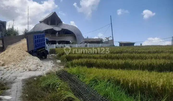 TANAH MURAH DENGAN VIEW SAWAH DI KAWASAN VILLA CEMAGI BALI 2