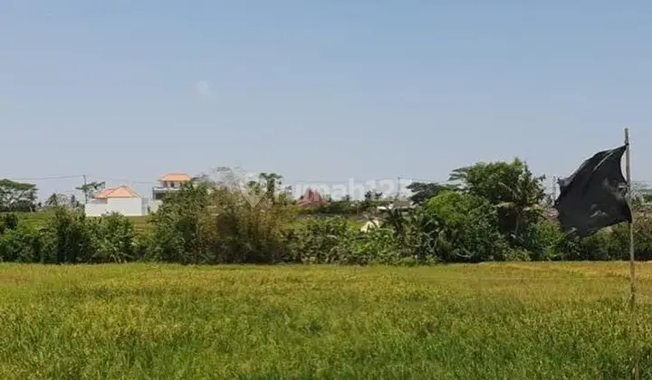 LAND IN LOS SUNGAI IN THE SESEH BEACH AREA, TABANAN BALI 2