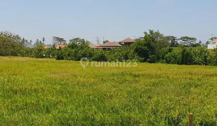 LAND IN LOS SUNGAI IN THE SESEH BEACH AREA, TABANAN BALI 1