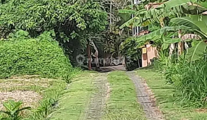 SEBIDANG TANAH KOSONG DI AREA PANTAI NYANYI, TABANAN - BALI 1