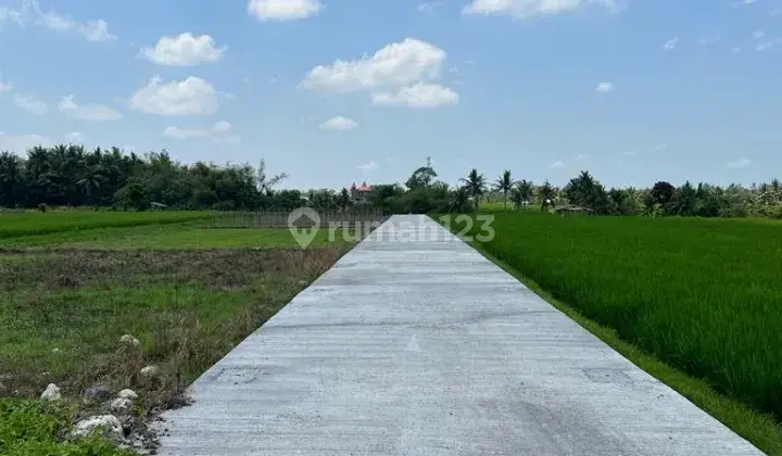 SEBIDANG TANAH KAVLING DI AREA PANTAI KEDUNGU, TABANAN-BALI 2