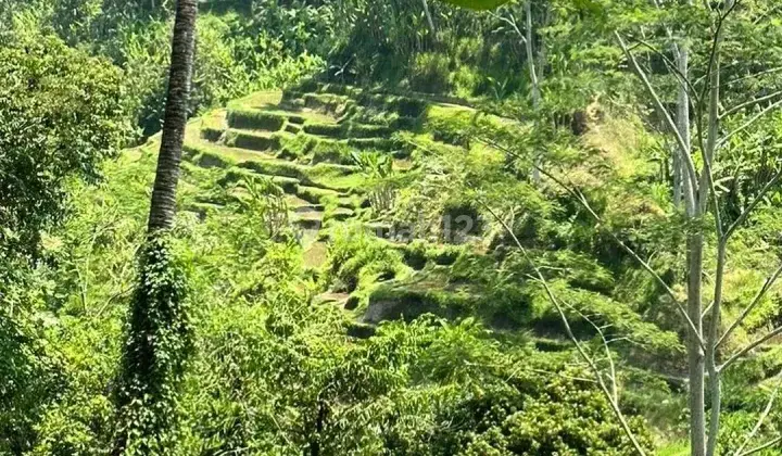 TANAH BAGUS VIEW MENAWAN DI TEGALALANG, UBUD - BALI 2