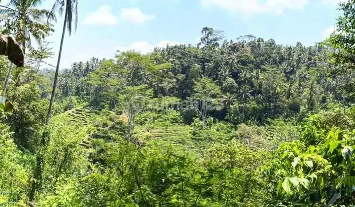 TANAH BAGUS VIEW MENAWAN DI TEGALALANG, UBUD - BALI 1