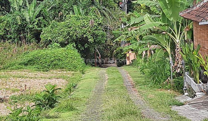 SEBIDANG TANAH KOSONG DI AREA PANTAI NYANYI, TABANAN - BALI 1