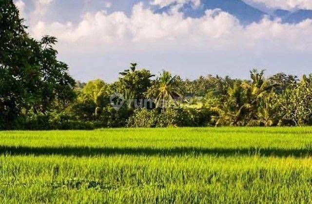 TANAH MURAH DI KAWASAN PANTAI SESEH, TABANAN -BALI 2