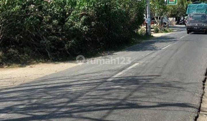 LAHAN STRATEGIS DI JALAN UTAMA CANGGU, BALI  2