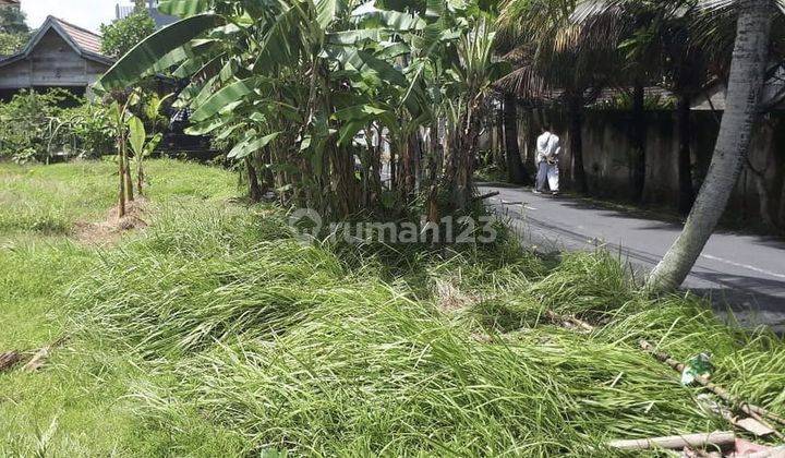 LAND ON THE MAIN ROAD OF CANGGU - BANTAN KANGIN, BALI 2