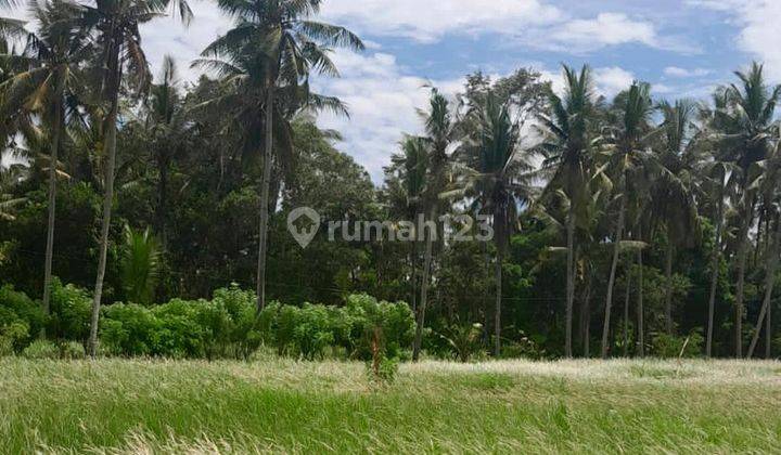 TANAH DENGAN VIEW JUNGLE YG LUAS DI LODTUNDUH, UBUD - BALI 1