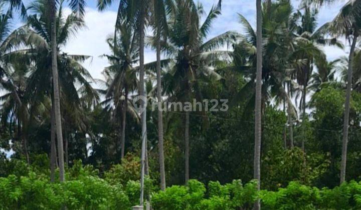 TANAH DENGAN VIEW JUNGLE YG LUAS DI LODTUNDUH, UBUD - BALI 2