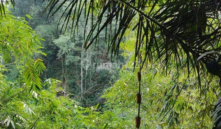 LAND WITH JUNGLE VIEW IN PAYUNGAN, UBUD - VALI 2