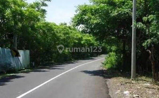 LARGE SIZE LAND ON THE MAIN ROAD OF THE PANDAWA AREA, BALI 2