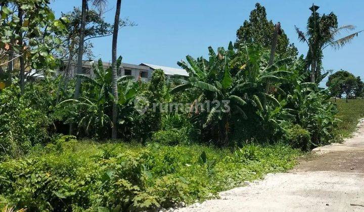 TANAH DI KAWASAN TENANG TUMBAK BAYUH, CANGGU - BALI 1