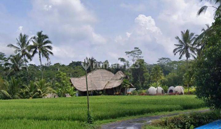 STRATEGIC LAND NEAR CAPELLA RESORT, UBUD - BALI 1