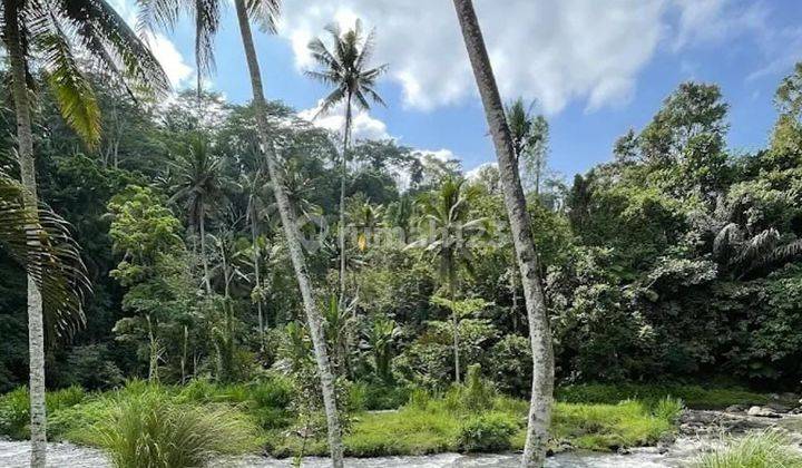 TANAH SATU SATUNYA LOS SUNGAI AYUNG DI UBUD, BALI 1