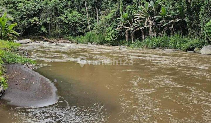 TANAH SATU SATUNYA LOS SUNGAI AYUNG DI UBUD, BALI 2