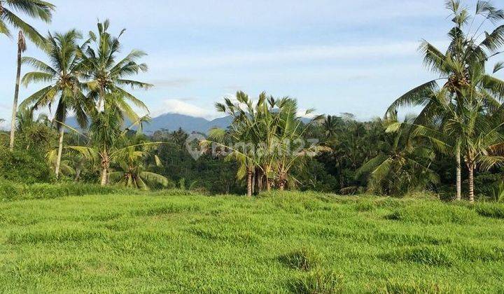 LARGE LAND IN THE TEGALLALANG TOURISM AREA, UBUD - BALI 1