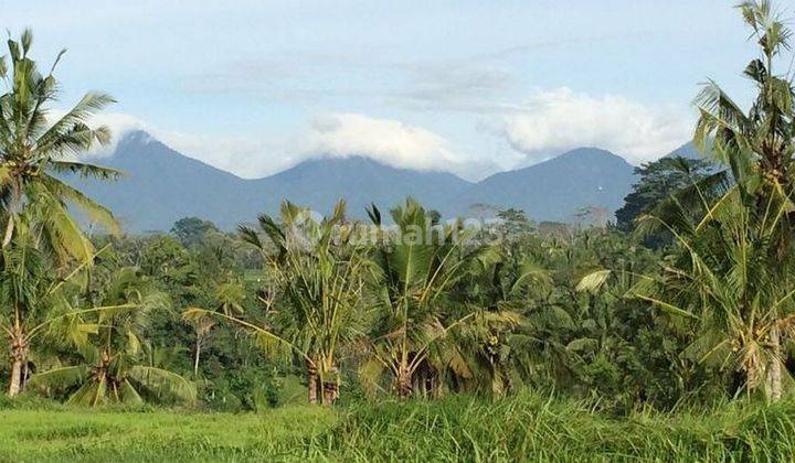 LARGE LAND IN THE TEGALLALANG TOURISM AREA, UBUD - BALI 2