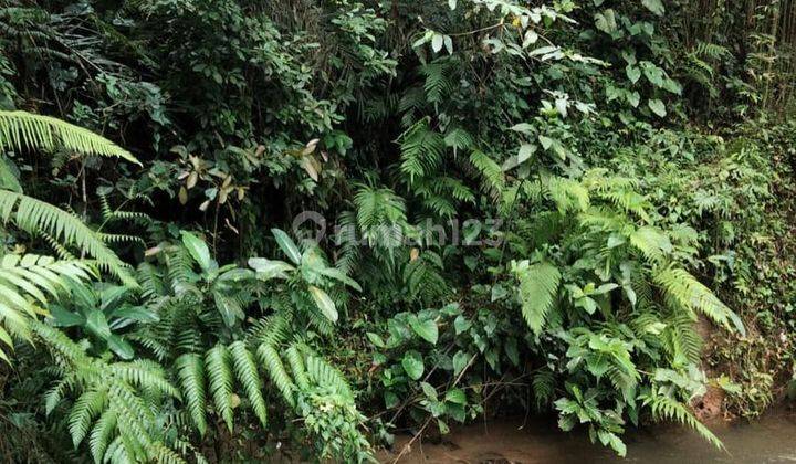 LOS RIVER LAND NEXT TO THE RESORT IN PEJENG KAWAN, UBUD - BALI 2