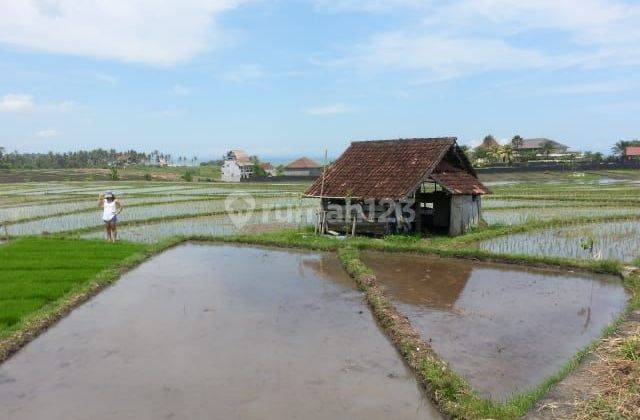 LAHAN OCEAN VIEW DI KAWASAN TUJUAN INVESTOR BERABAN, TABANAN-BALI 2