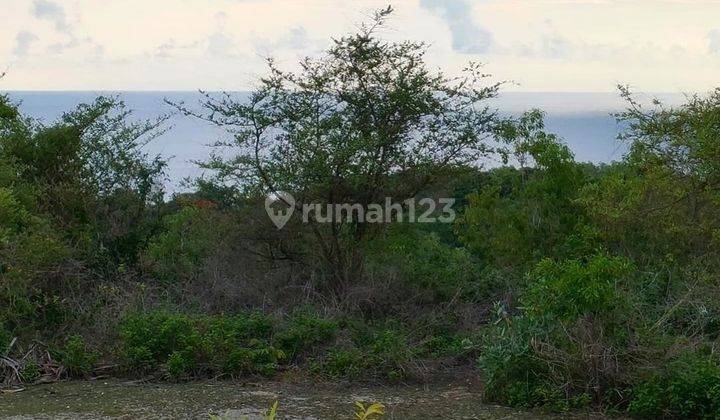 SUPER UNBLOCK LAND IN THE PANDAWA BALI CLIFF AREA, BALI 2