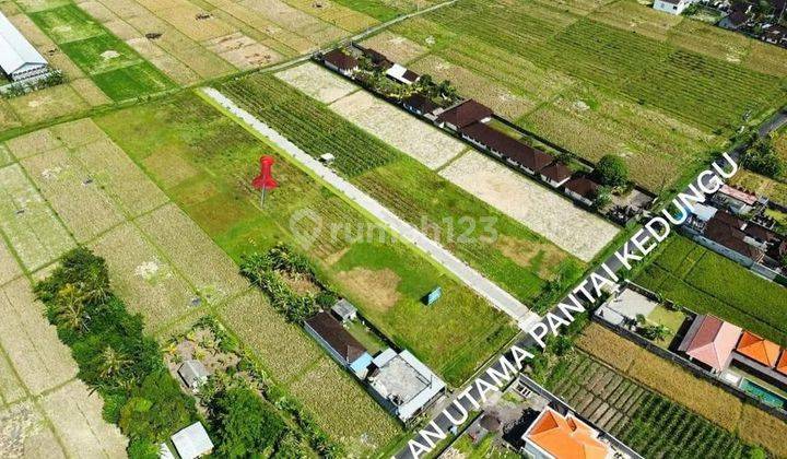 RARE LAND MAIN ROAD ACCESS TO KEDUNGU BEACH, TABANAN - BALI 1