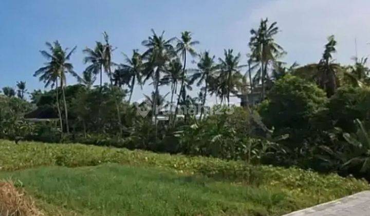 LAHAN BAGUS DENGAN VIEW SAWAH & LAUT DI CEMAGI, CANGGU - BALI 2