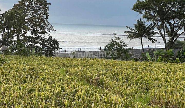 TANAH VIEW SAWAH & SUNSET DI PANTAI CEMAGI, MENGWI - BALI 2