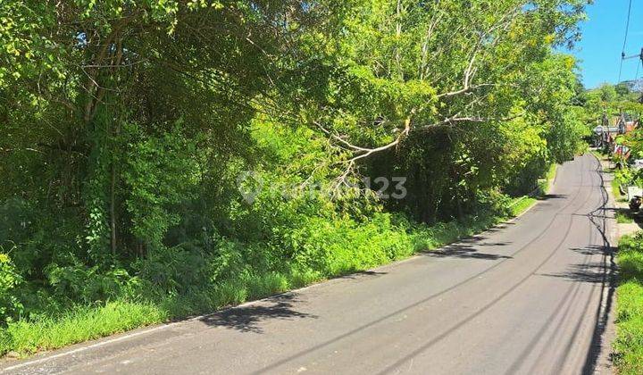 LAHAN JALAN UTAMA DI DHARMAWANGSA - NUSA DUA, BALI 1