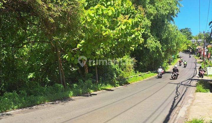 LAHAN JALAN UTAMA DI DHARMAWANGSA - NUSA DUA, BALI 2