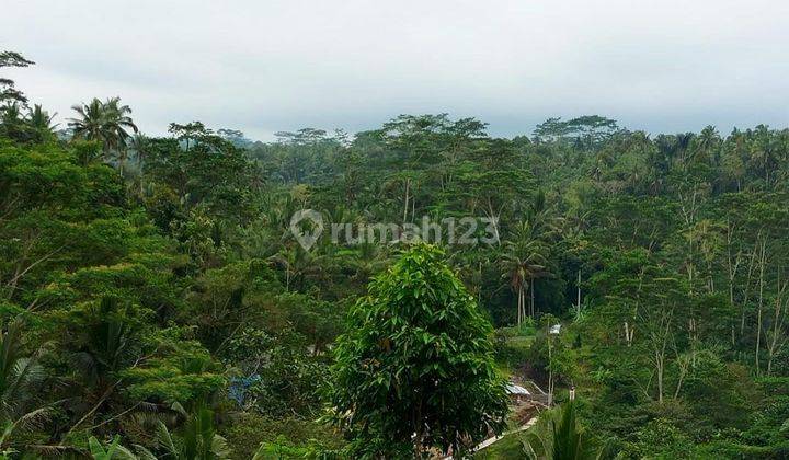 LAND WITH A CHAMPION VIEW IN PAYANGAN, UBUD - BALI 1