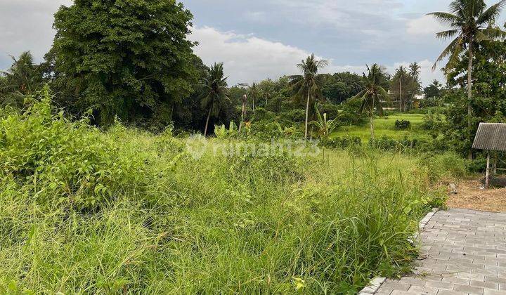 LAHAN SANGAT BAGUS DAN LOS SUNGAI DI KENGETAN, UBUD - BALI 2