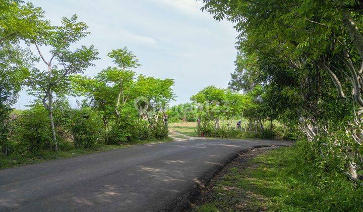 TANAH DI LOKASI PREMIUM DENGAN OCEAN VIEW DI PECATU, BALI 1