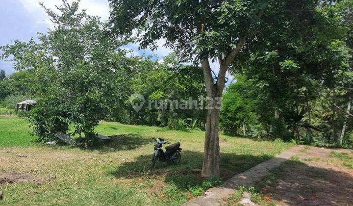 LAND WITH VIEWS OF FIELDS AND RIVER BILLS IN CENTRAL UBUD, BALI 1