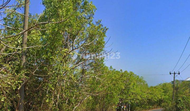 SMALL SIZE LAND ON MAIN ROAD BALI CLIFF, UNGASAN - BALI 2