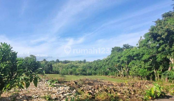 VILLA ENVIRONMENTAL LOT LAND ON MELASTI BEACH, UNGASAN BALI 1