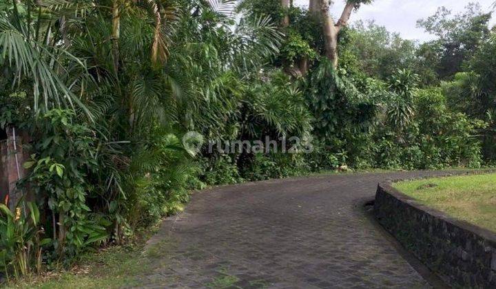 LAHAN KECIL DI KAWASAN VILLA DALEM GEDE, PERERENAN - BALI 2