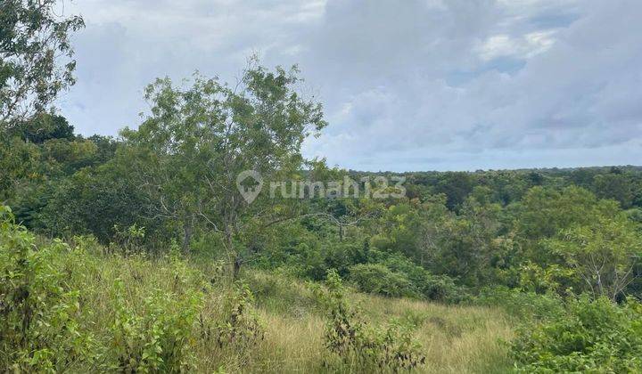 LAHAN HARGA BUC DENGAN VIEW CAKEP DI LABUAN SAIT, ULUWATU - BALI 1