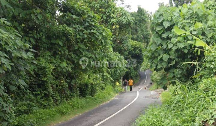 LAHAN CANTIK DI JALAN UTAMA UBUD, LODTUNDUH BALI 1