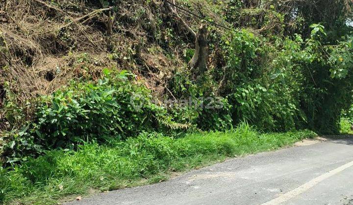 LAHAN CANTIK DI JALAN UTAMA UBUD, LODTUNDUH BALI 2