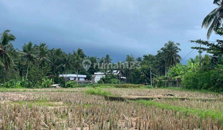 LAHAN BUC VIEW SAWAH DI UBUD SINGAPADU, BALI 2