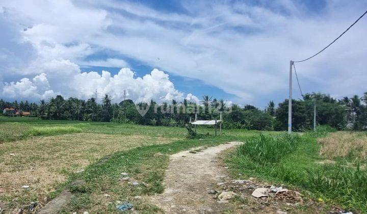 TANAH KOMERSIAL VIEW SAWAH & SUNGAI DI LODTUNDUH, UBUD - BALI 1