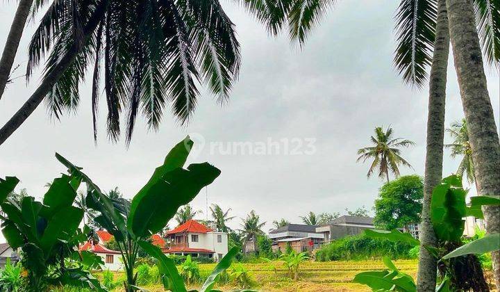 FIELD VIEW LAND IN VILLA UBUD AREA, TEBONGKANG - BALI 1