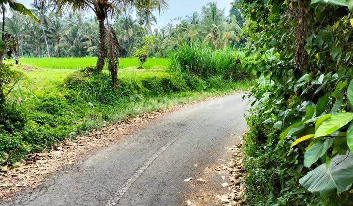 LAND WITH JUNGLE VIEW IN TEGALLALANG, UBUD - BALI 1