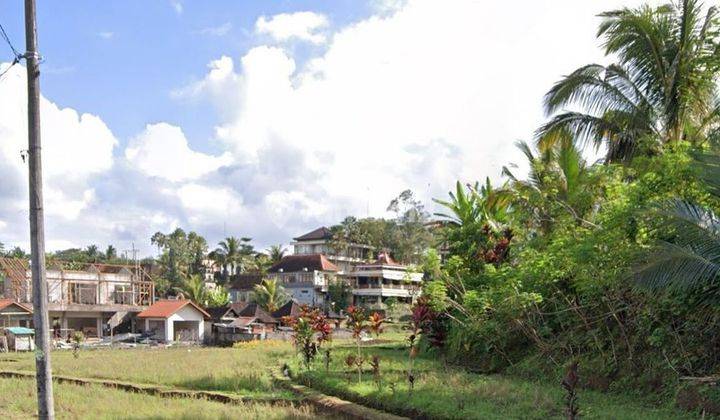 RARE LAND IN THE PREMIUM AREA OF UBUD, BALI 2