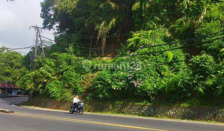 TANAH MAIN ROAD UNBLOCKED VIEW DI SINGARAJA, DENPASAR BALI 1