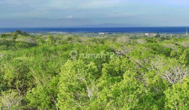 LAHAN BUC DENGAN OCEAN & SUNSET VIEW DI NUSA DUA, BALI 1