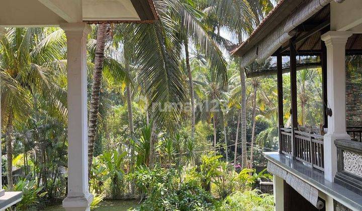 VILLA VIEW JUNGLE DEKAT MONKEY FOREST DI UBUD, BALI 2