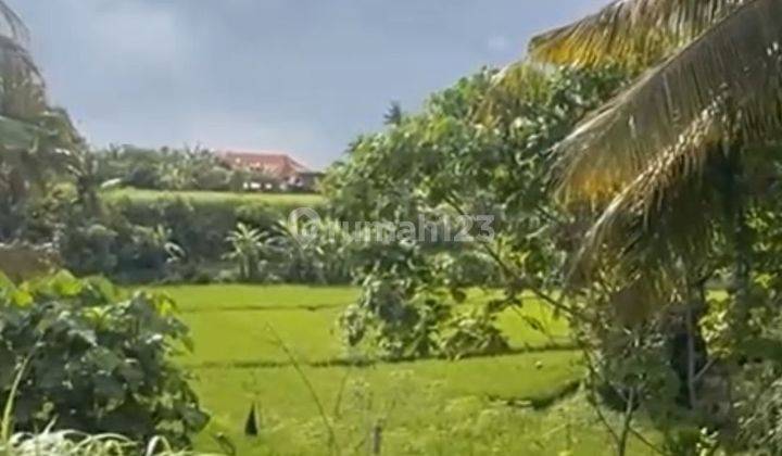 LAHAN TEPI SUNGAI DAN VIEW SAWAH DI DESA MAS, UBUD - BALI 1